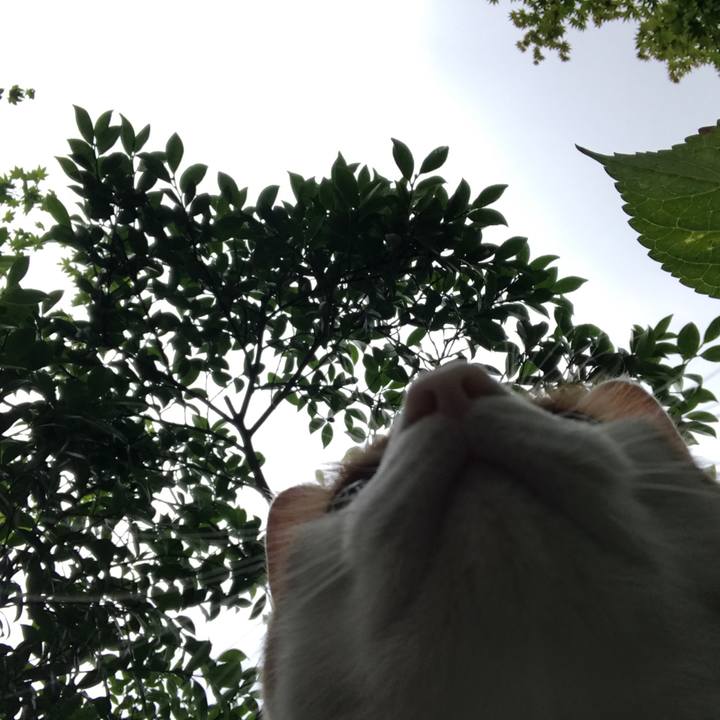 6212fcf5 bd8b 4c53 bf0d e340c69424c3