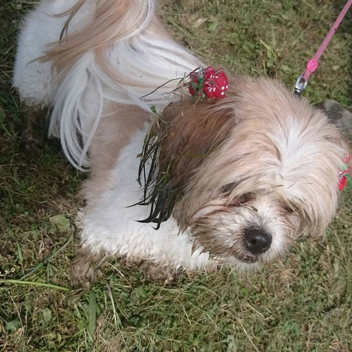 62132a5a 9273 43b3 9be3 7f8066aa6bf9