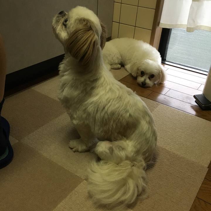 6213809a 571e 4f22 82bf e634f6cf8bf2