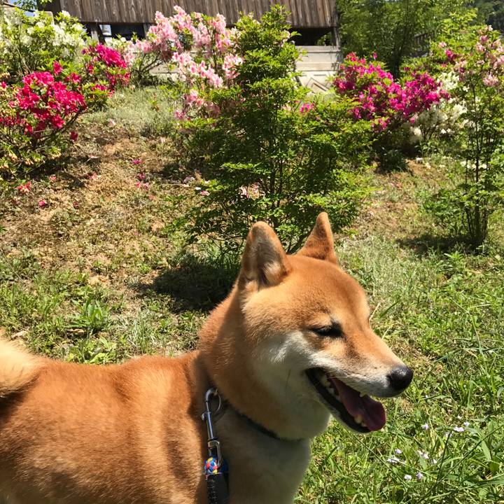 62142c97 01cd 49c6 b3a3 a6cf8fc39066