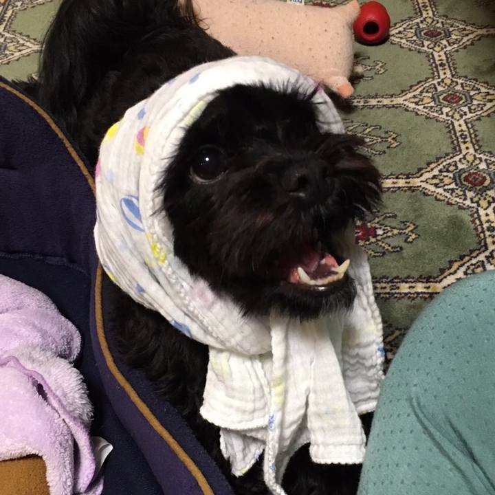 62148360 72fc 4add a4f3 5319b0758e7e