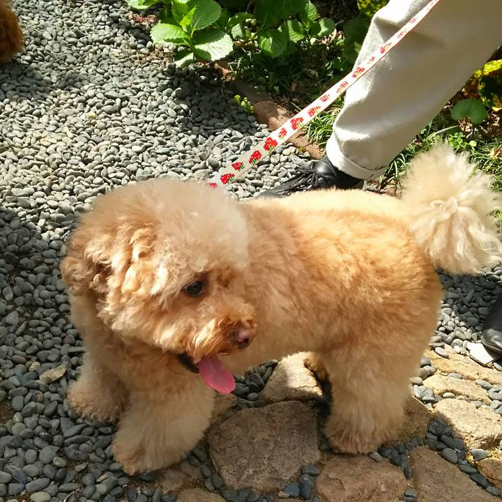 6214f15a 4c50 4dab 9f02 897daf33fc5d