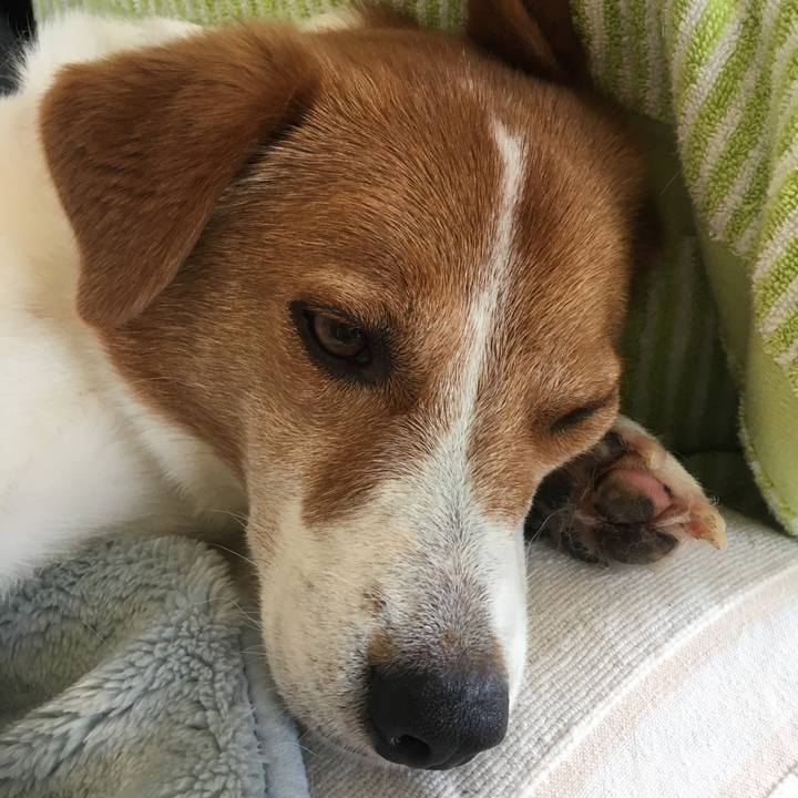 6214fe91 e597 4dff 8da3 4ad1f10f7dfc