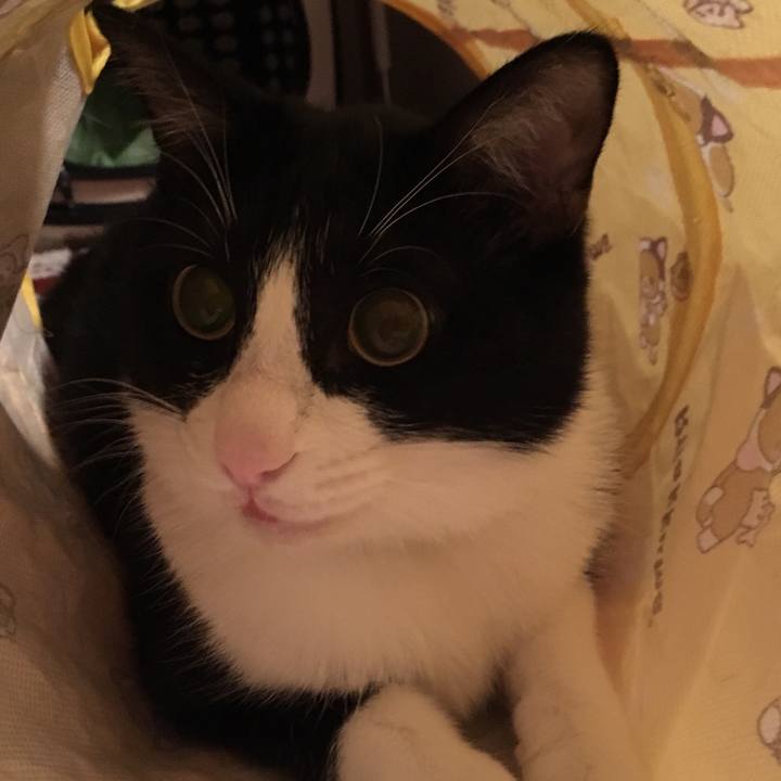 6215cd1e b983 4c60 acbf 2c9f0e9730ef