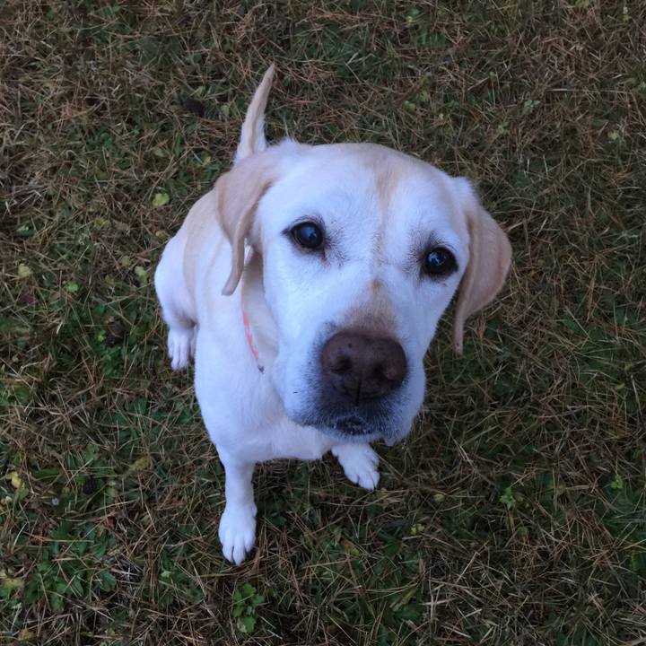 62164cf5 601b 4cc6 90bd 1553b5ed1136