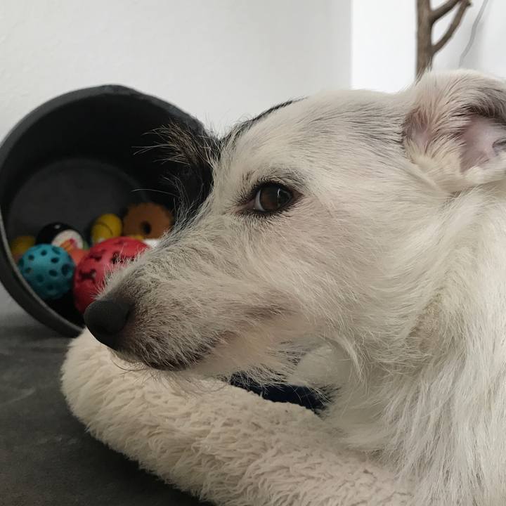 6216a419 4810 41cd 864c d865b34fc585