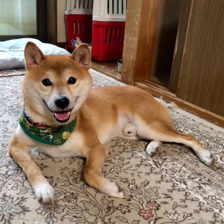 6216f7ad b6c5 4b86 b32a 9389be1d9298