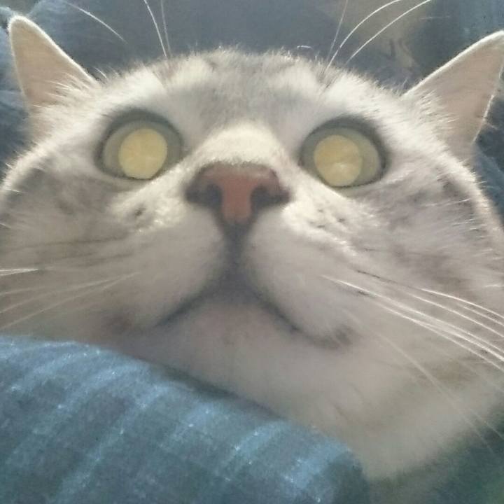 62171abb bfb6 4c19 86b9 9abba491d47c