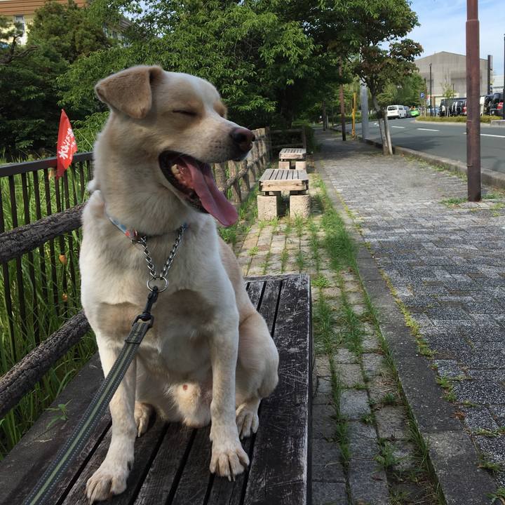 6217689b c2a1 4d79 a3eb 1820b5ef921a