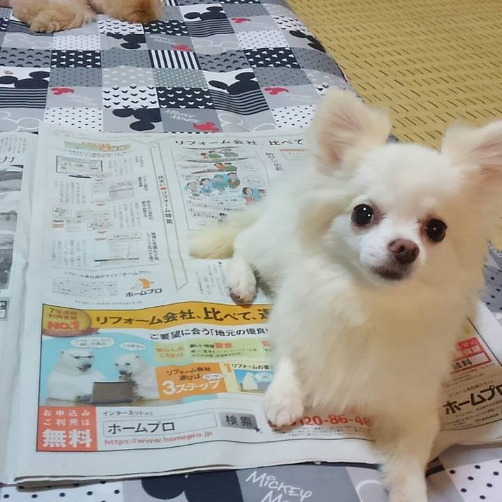 6217b5f1 b63d 4742 ad6d ce1309716edf