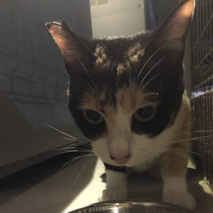 6217d833 2397 4122 9360 dda37f802e61