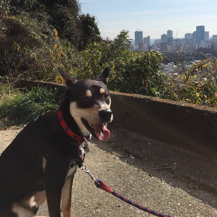 6217e860 0225 4c55 a8c0 6f744a631618