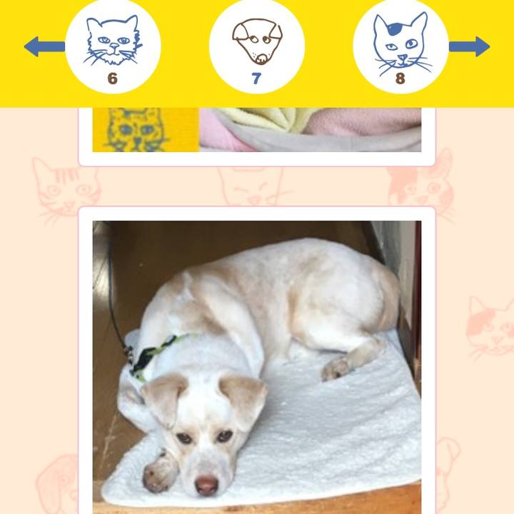 621805c9 8d31 4eea b178 30ca6425700a