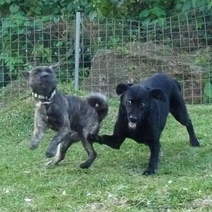 6218173f 1bb9 41a0 bd1c 487797fd1cc1