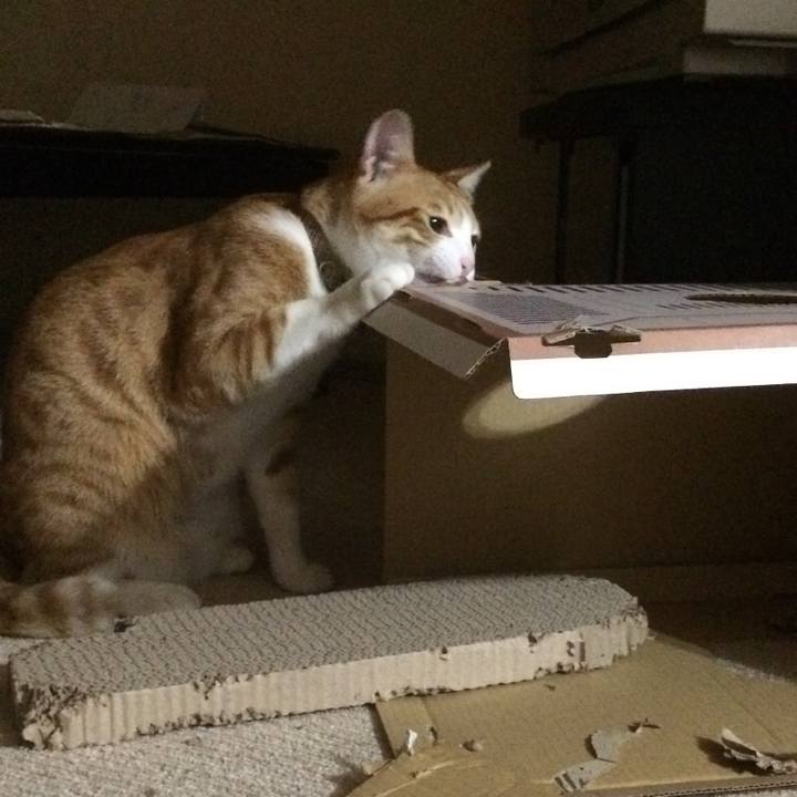 62187ea9 2268 45ba a9e6 8f56c3b5251c