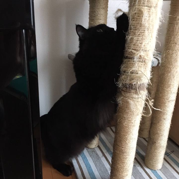 62189100 5242 439e 83a3 4b9b82cbfc2b