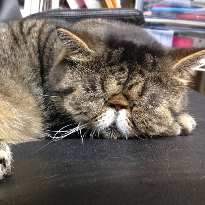 621979c9 e61d 45f7 816d d843e2a42ff2