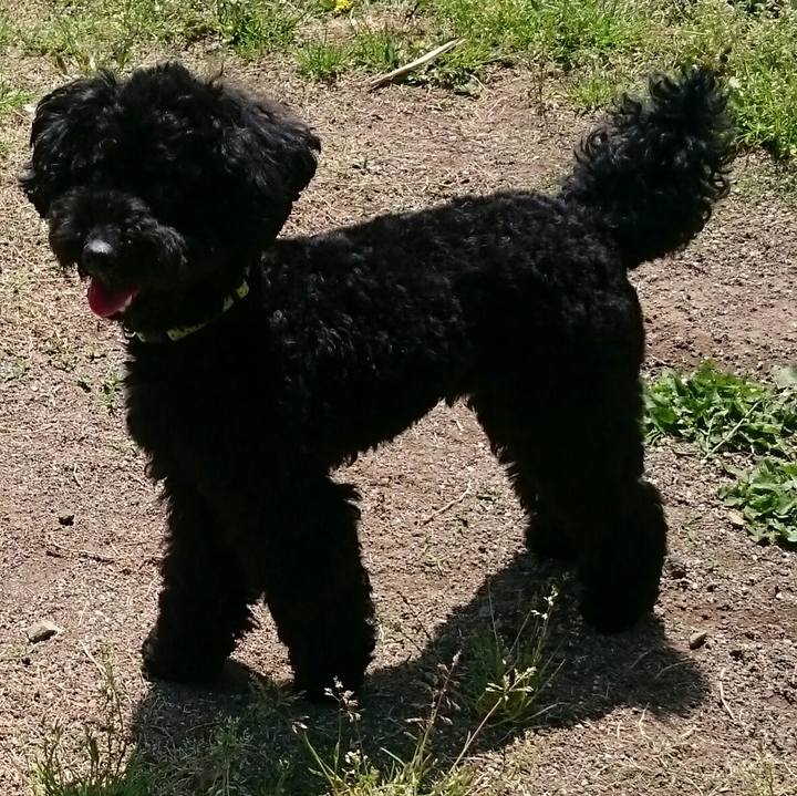 6219c72d 4290 4ece afdd 6fd2957bac52