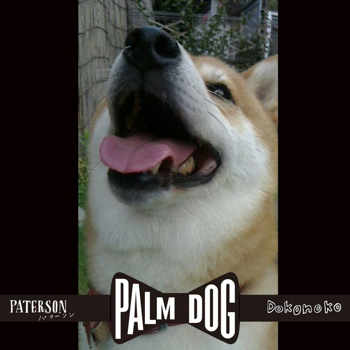 6219ec89 bf35 4020 98ba 1161ebae8f2f