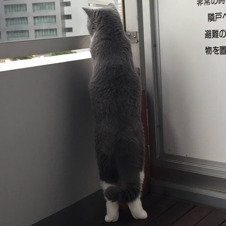 6219f041 23d5 4a8e a5ac fab676774303