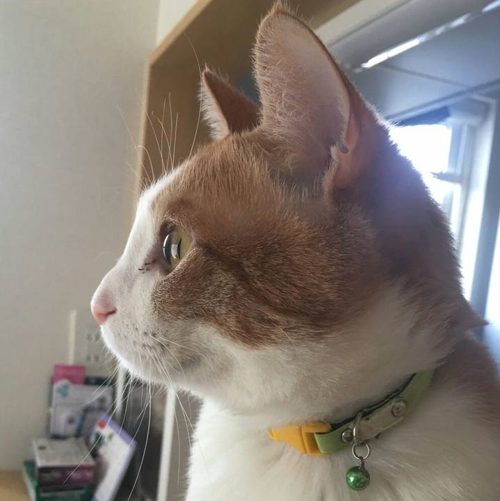 621b712f 35ba 4292 ac08 47a91ef29134