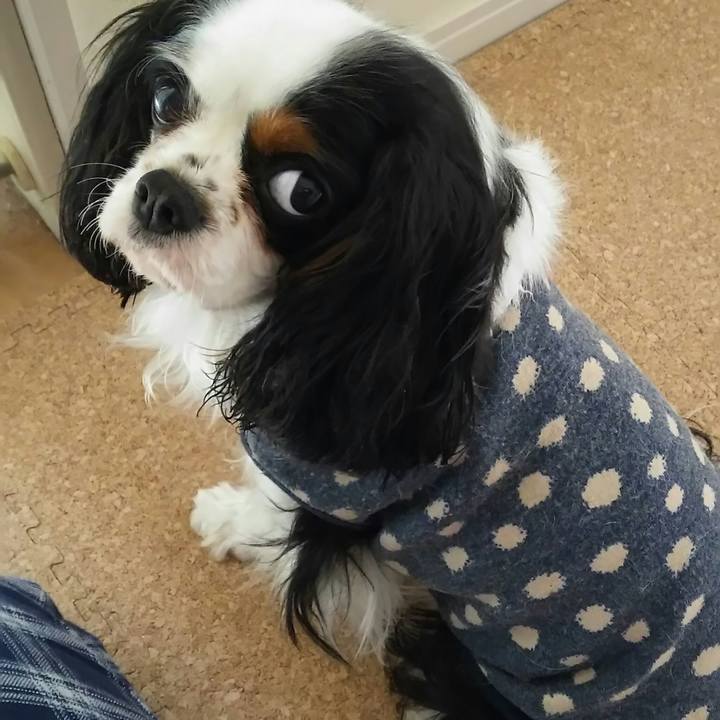 621b9384 db4d 4dd1 ae3d 8d81a3ca0937