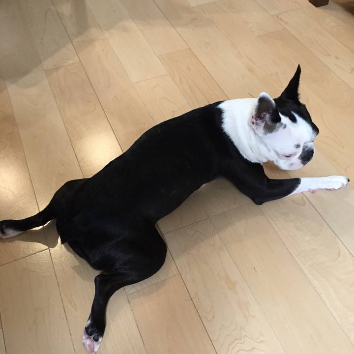 621be02a eef3 4893 8d0b db5af1f34d71