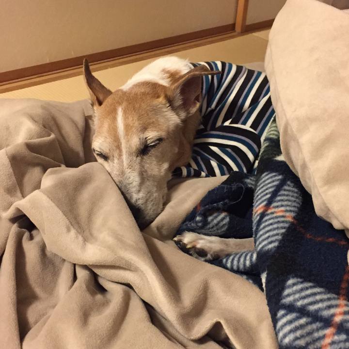 621c015e a639 4d9e 9294 dcc37caf937a