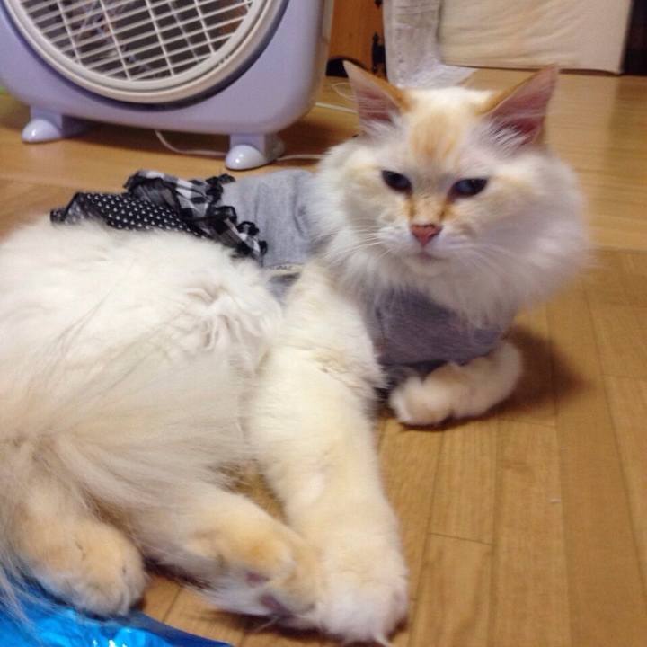 621c10ef 9607 41a9 bb4e 33ad6680a7de