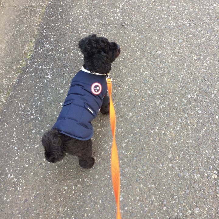 621c2442 3ee9 4b87 af9c 6524a9d68b82