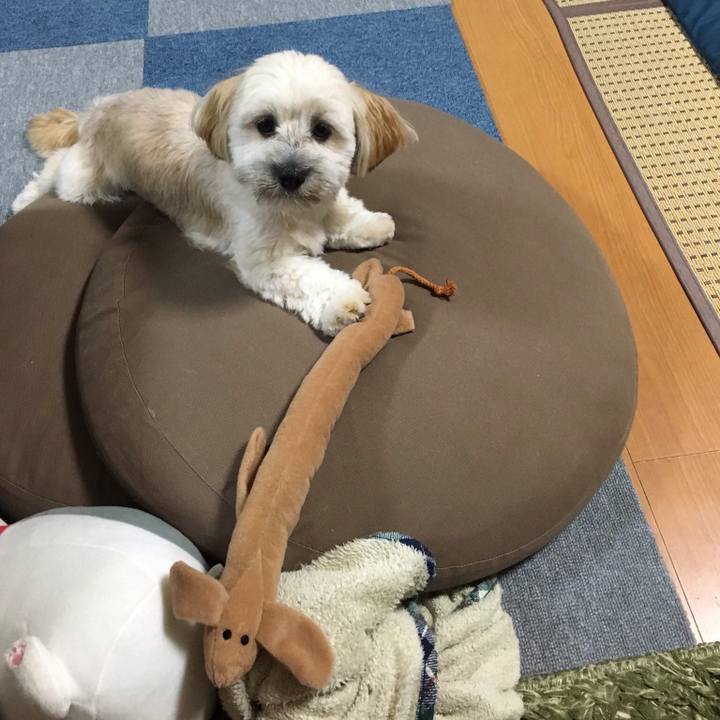 621c4a11 4093 4318 9ee7 612ec082ee4c