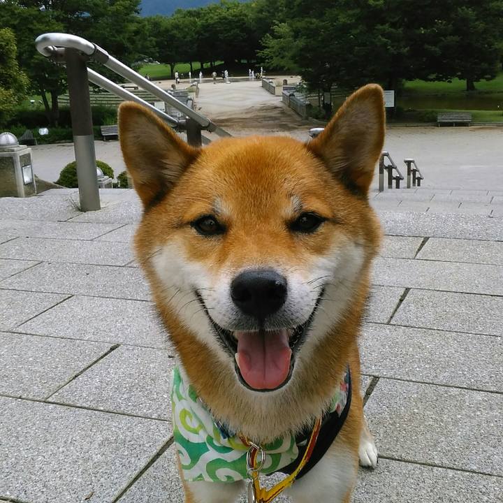 621c5752 7135 4d67 845b 02c8609dd131