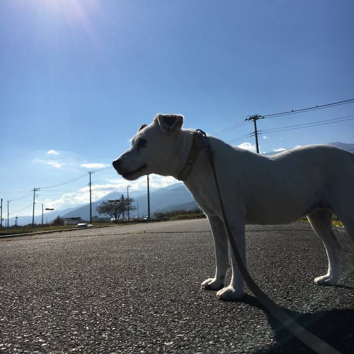 621e5961 e296 431c ba9d fda858de7f7d