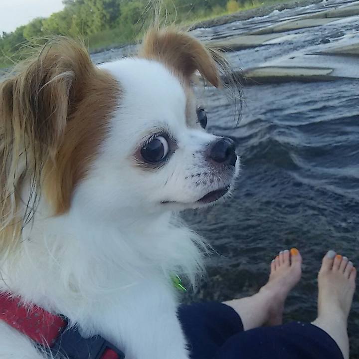 621f7613 296a 4ef1 95ac aee7db2916c5