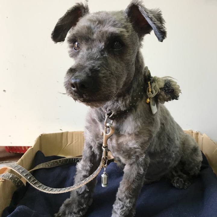 622005f0 8e51 419c 9e01 a5cb52081d80