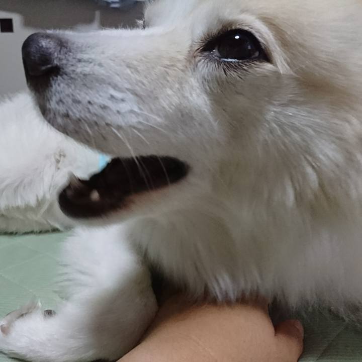 62202df8 b2ab 4acc ba91 1ca643faabe3