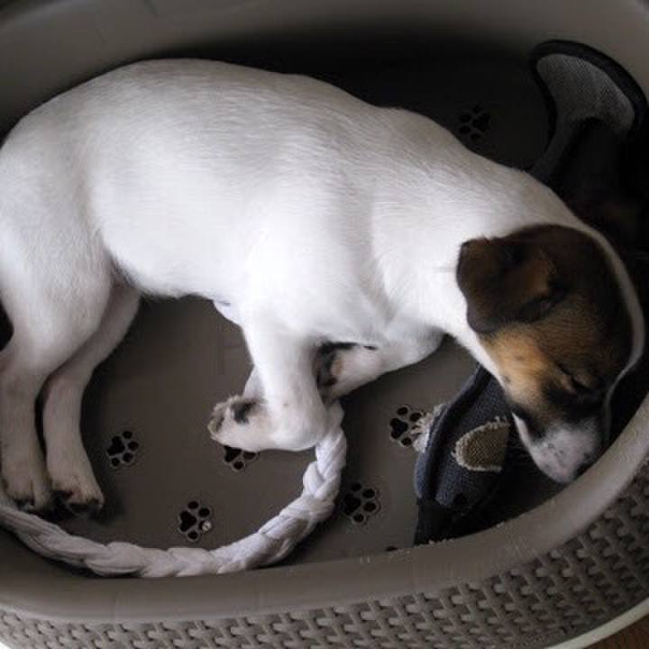 6220bd43 daa6 460f 8b92 05a0c65d06af