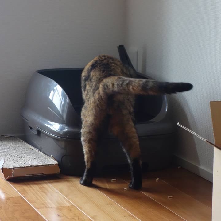 62211a35 b5a8 4a80 afda 919b07d3afe6