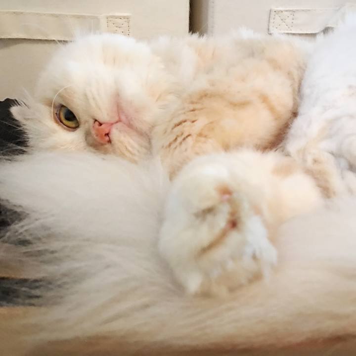 6222665f 85a3 4cf7 bf8a 7efb7bee3536