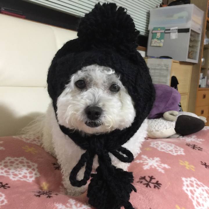 62234bc9 c084 45e2 9be1 1067ac54846c