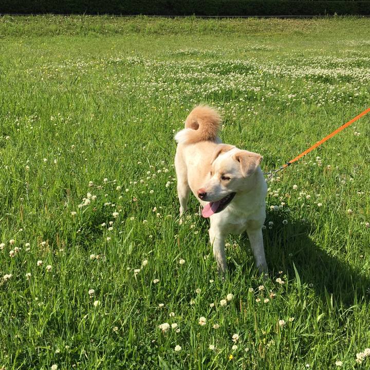 6223777d e868 4444 876b eec9151069c6