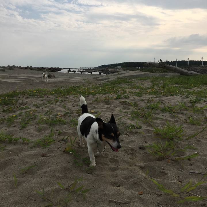 6223a705 78a6 4d4e ad43 3f618eeebef4