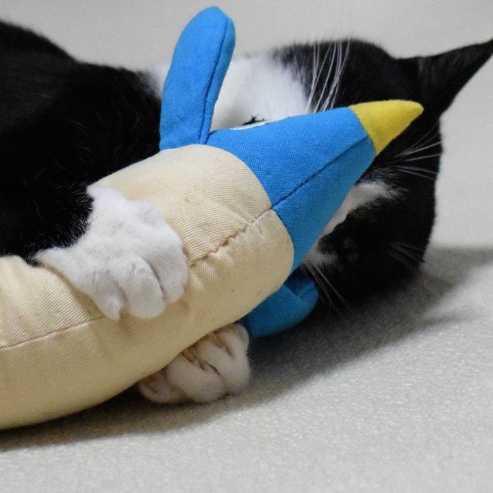 62241c1f bda4 4e3d bfed 431363120226