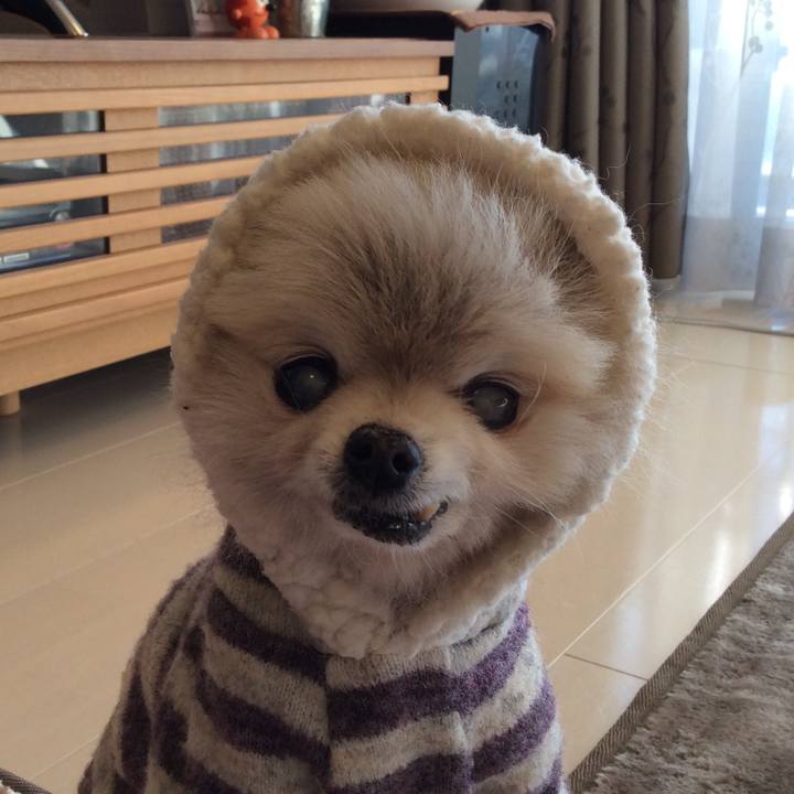 62245a66 7a9c 46f8 b398 d9b0971ea6f8