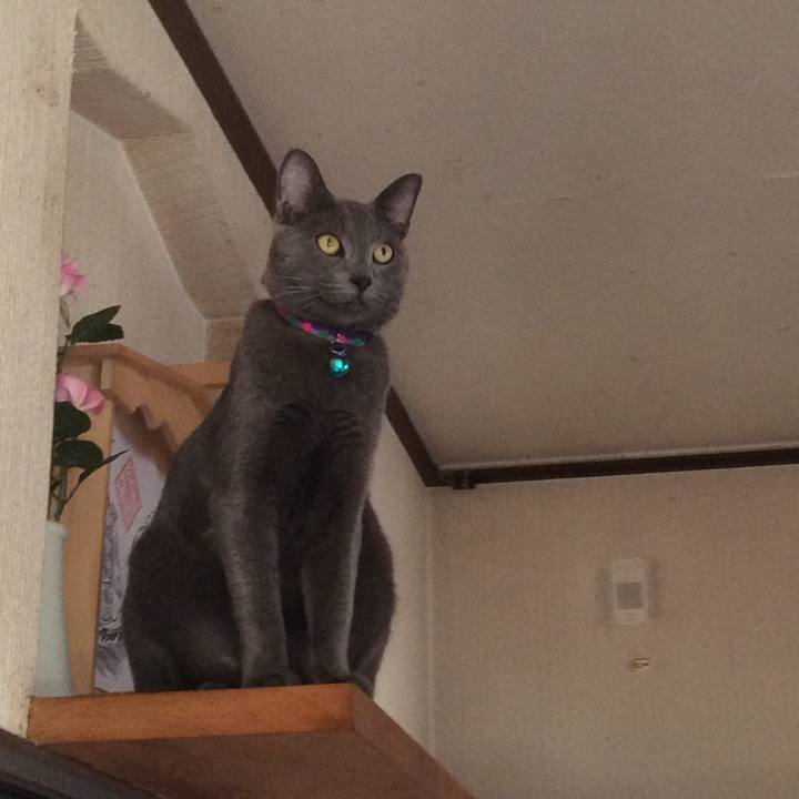 6224a5ce 6096 4bc4 9250 828640fd8d2e