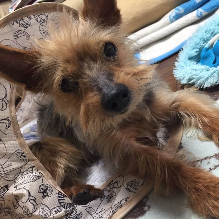 6224f8e8 c457 4d45 8e75 900adadbf8ed