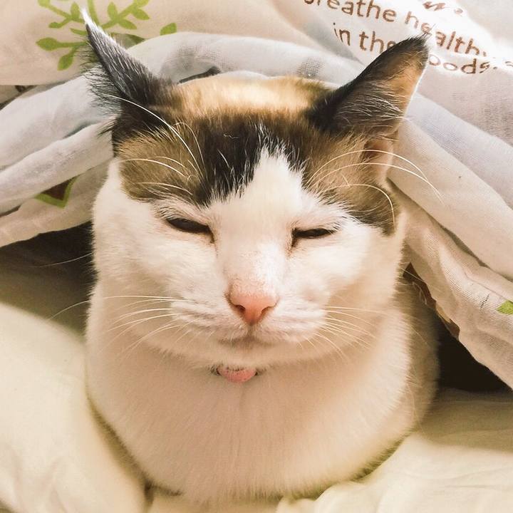 62259052 2c8c 4647 b8ce d0067900464d