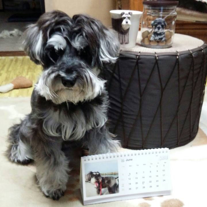 6225d583 b546 4036 a8e7 27ccc1679f2f