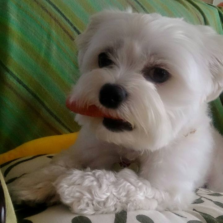 622689a2 6509 4f4c 81c1 df69cd324b15