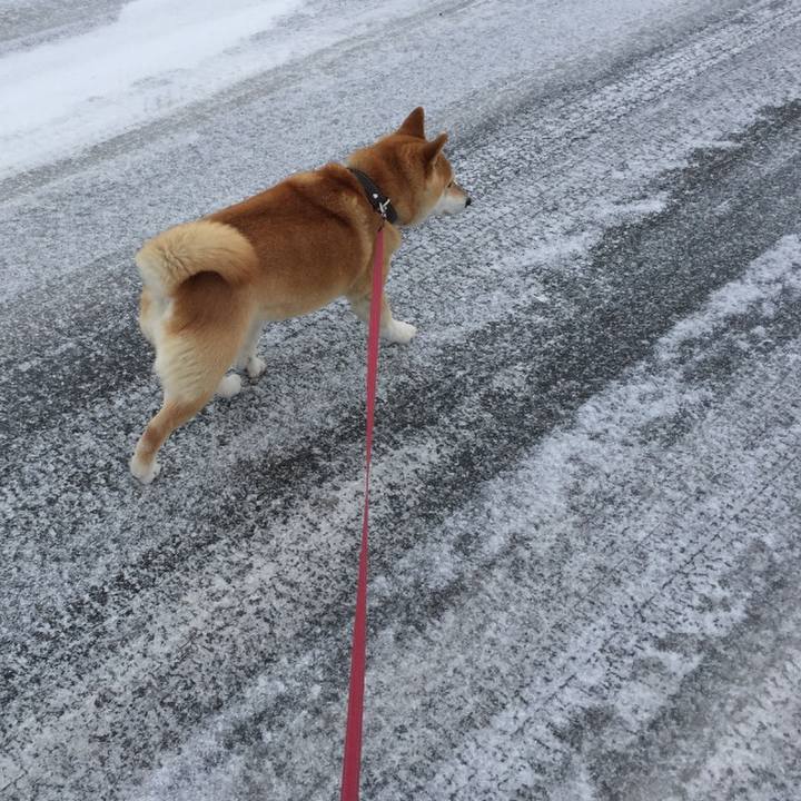 6226e532 02a6 4ae8 b9aa 231ddba72cc1